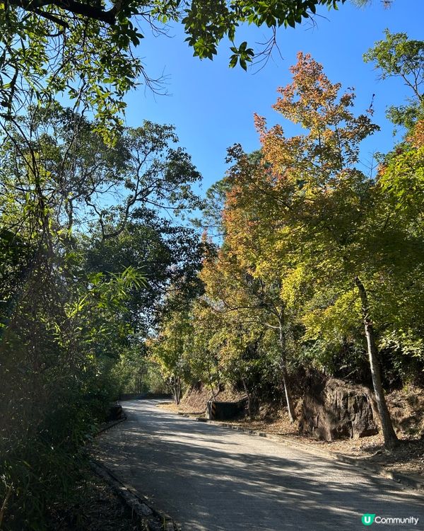 👣四小時行山樂 - 元荃古道👣