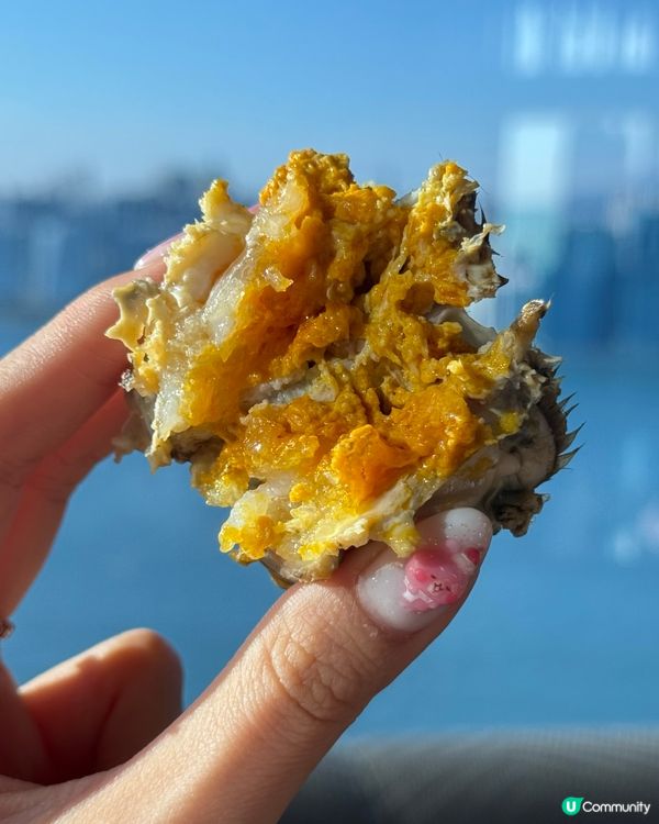 蟹逅下午茶🦀！爆膏大閘蟹😋+泳池！