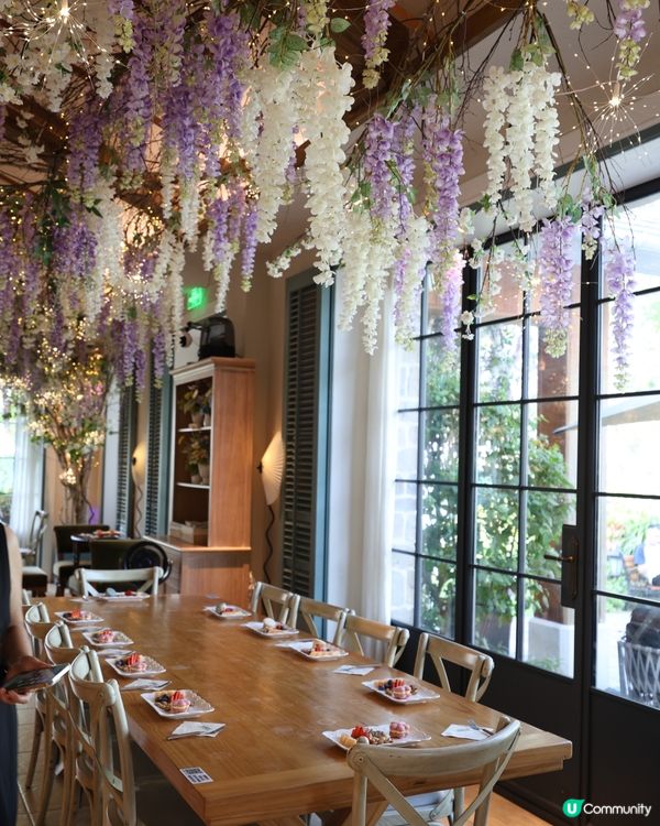 深圳紫藤花海打卡📸！生日飯超值🥳！