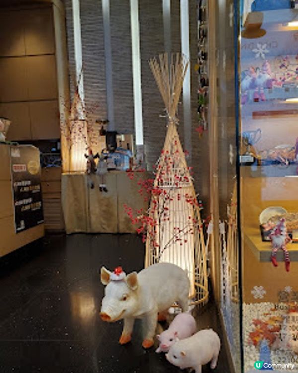 Tonkichiとん吉・獨食盛宴 女仔一個人食飯都要有儀式感