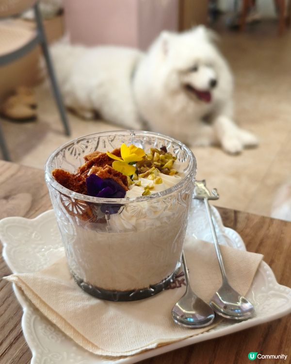 馬灣寵物有善Cafe