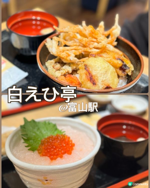 日本打卡攻略🇯🇵 富山城🏯+環水公園最美Starbucks☕️！