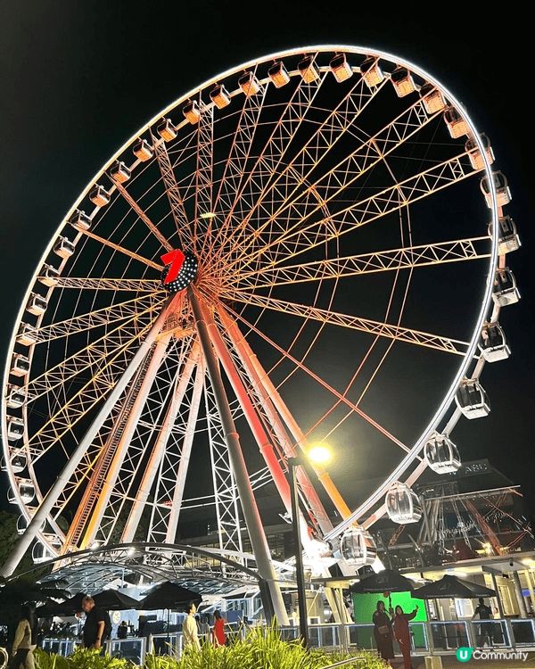 澳大利亞昆士蘭洲布里斯本市布里斯本河的夜景