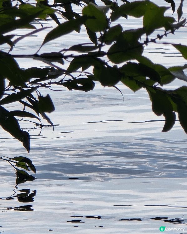 杭州，小河直街，風景如畫，圍爐煮茶，如夢似幻。