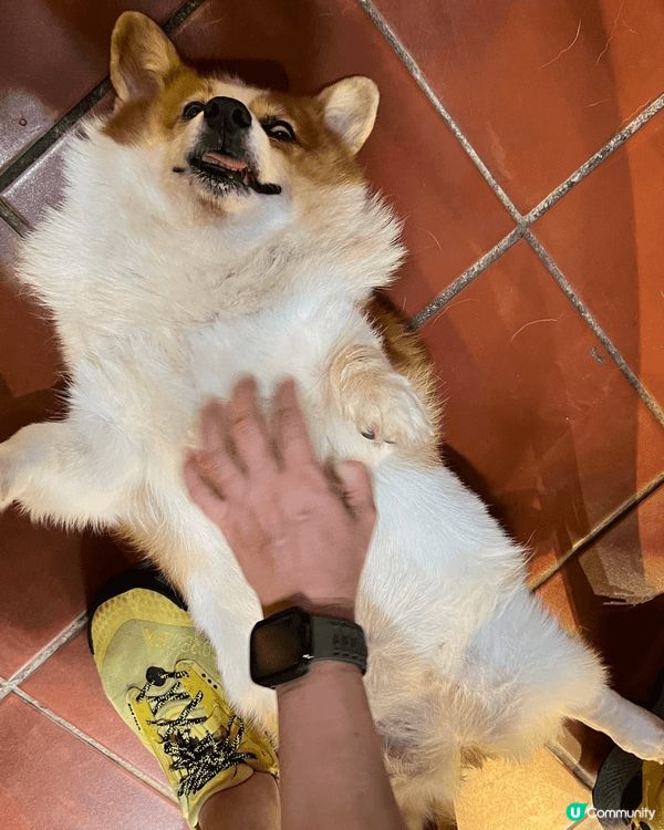 珠海北山大院入面的PICKCUPCAFE皮卡咖啡店，意式、美...