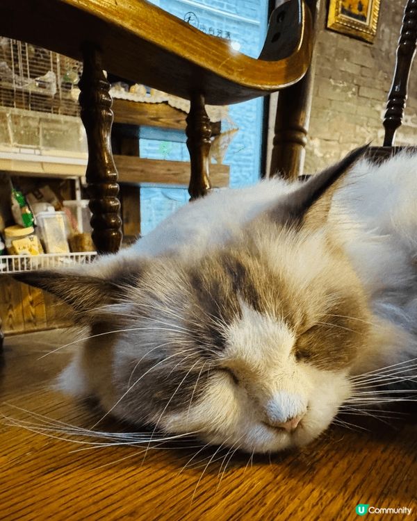 珠海北山大院入面的PICKCUPCAFE皮卡咖啡店，意式、美...