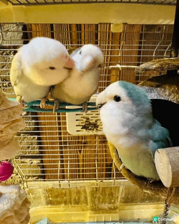 珠海北山大院入面的PICKCUPCAFE皮卡咖啡店，意式、美...