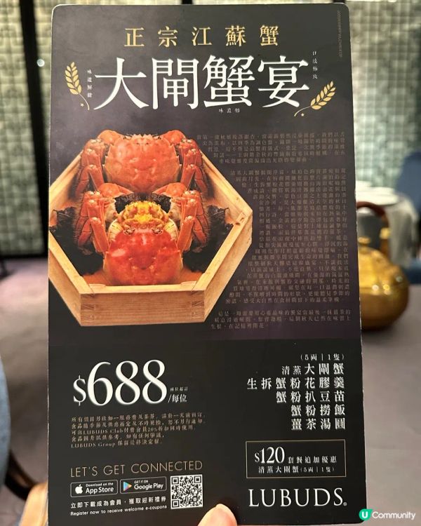 旺角 MOKO 念川居｜ 足料蟹粉大閘蟹宴🦀✨