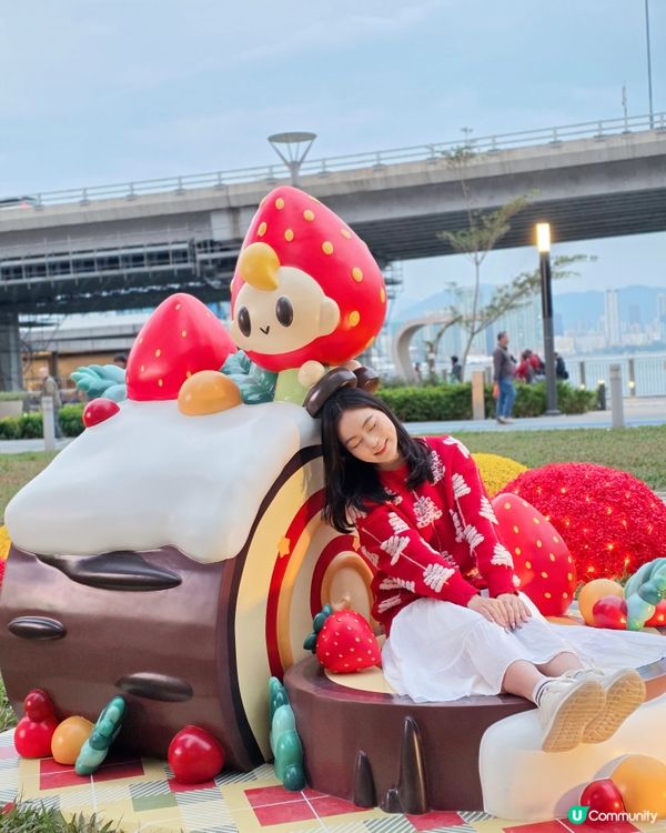 聖誕去邊度好？北角甜夢精靈森林等你！🎄📸