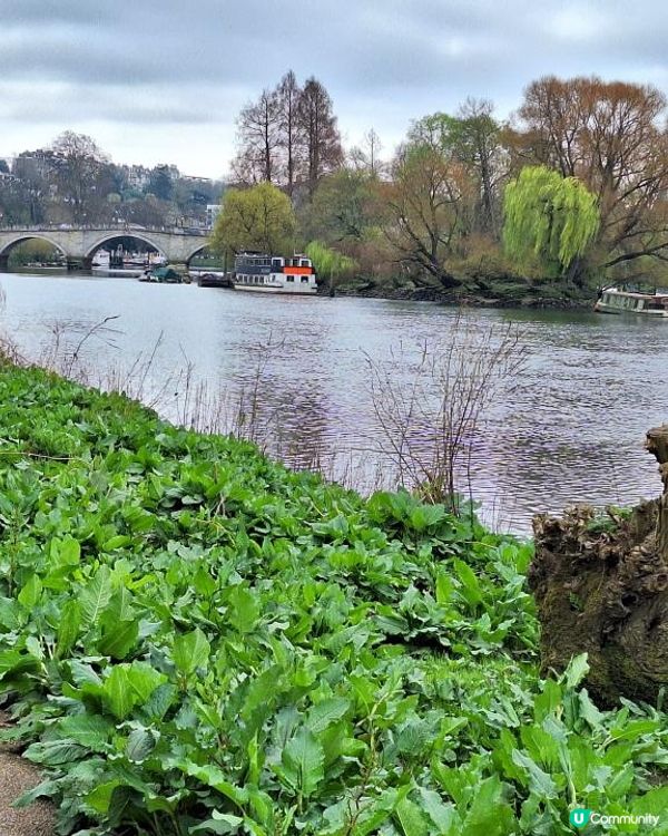 《光影誌》23｜倫敦近郊 - 在Richmond 完美的一天