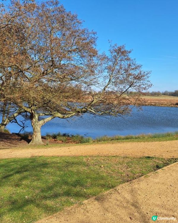 《光影誌》23｜倫敦近郊 - 在Richmond 完美的一天