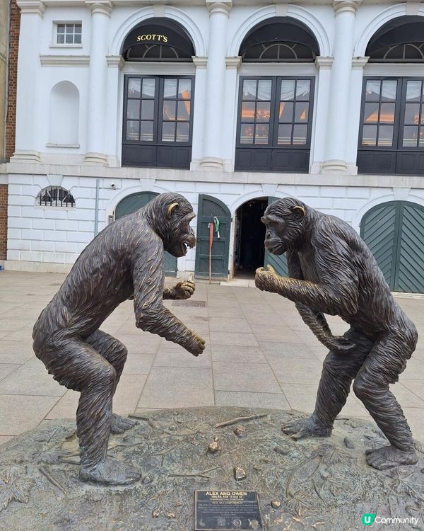 《光影誌》23｜倫敦近郊 - 在Richmond 完美的一天