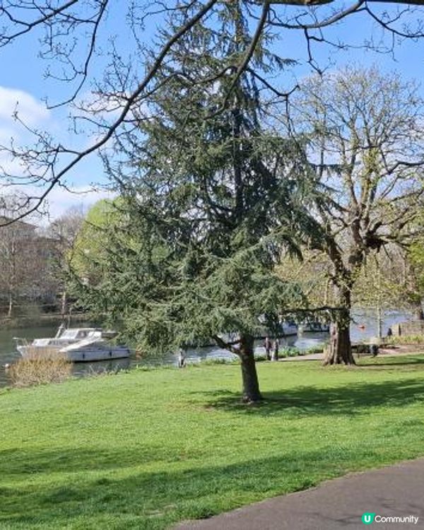 《光影誌》23｜倫敦近郊 - 在Richmond 完美的一天