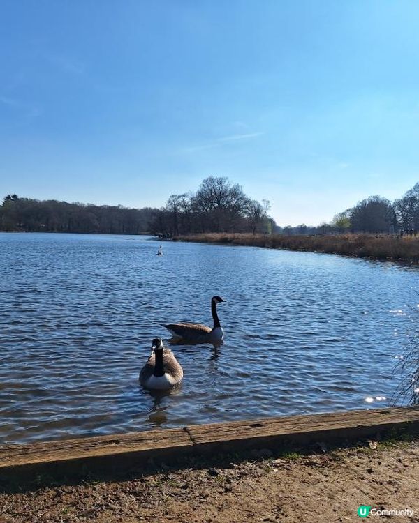 《光影誌》23｜倫敦近郊 - 在Richmond 完美的一天