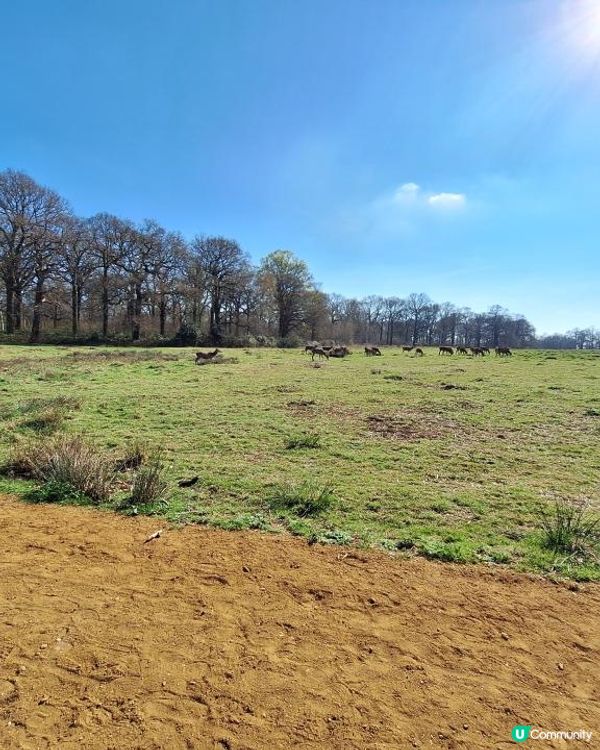 《光影誌》23｜倫敦近郊 - 在Richmond 完美的一天