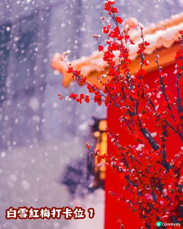 ☃️深圳大悅城落雪喇！嚟打卡《甄嬛傳》同款宮廷雪景❄️