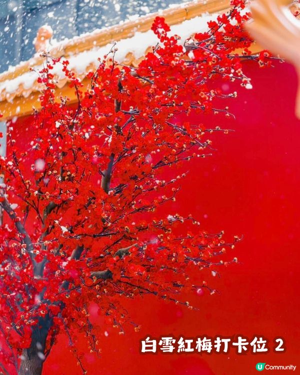 ☃️深圳大悅城落雪喇！嚟打卡《甄嬛傳》同款宮廷雪景❄️