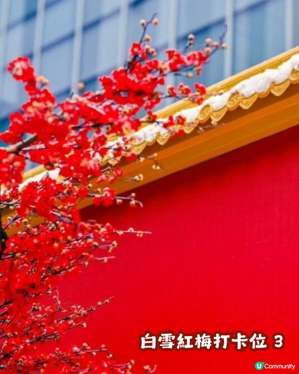 ☃️深圳大悅城落雪喇！嚟打卡《甄嬛傳》同款宮廷雪景❄️