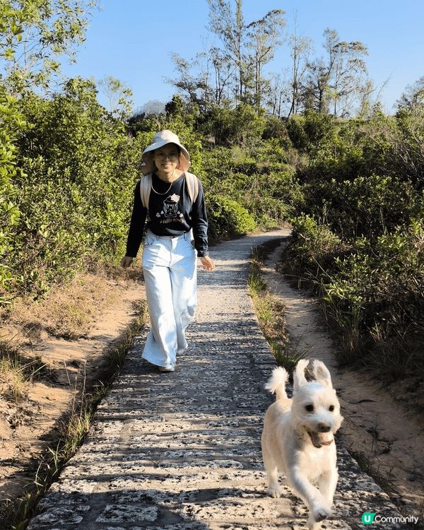 青衣自然徑-超簡單行山路線，全程一個鐘就行完，仲可以睇到青馬...