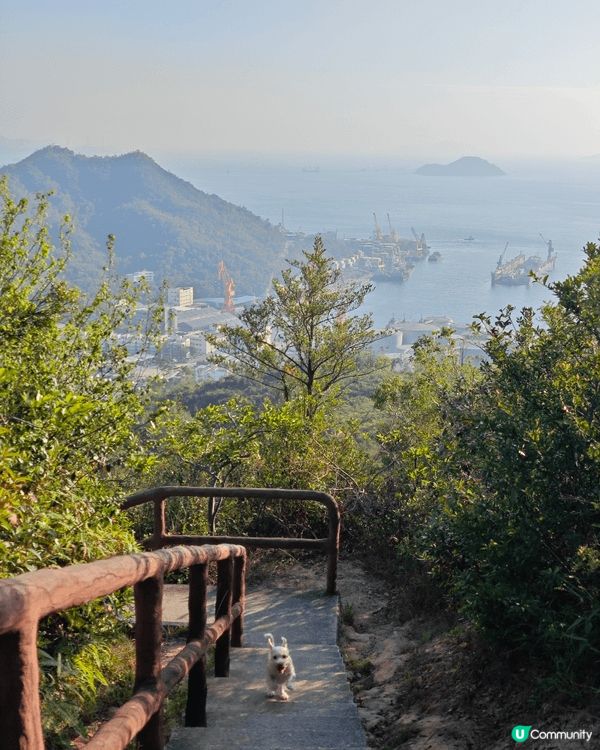 青衣自然徑-超簡單行山路線，全程一個鐘就行完，仲可以睇到青馬...