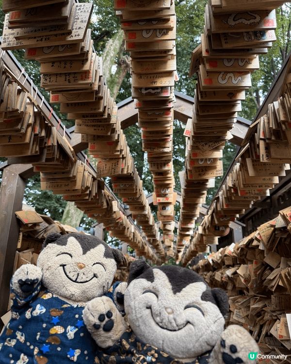 來到日本川越市覺得自己穿越咗時空！