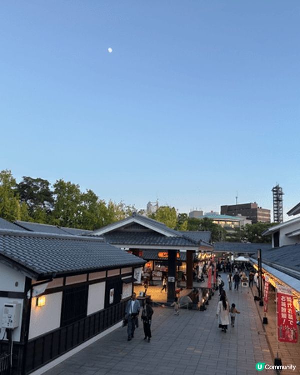 福岡加熊本八日七夜之旅。
