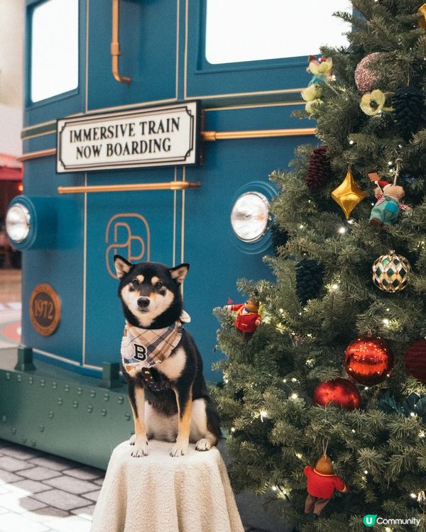 🎄聖誕打卡熱點：太古廣場聖誕夢幻啟程
