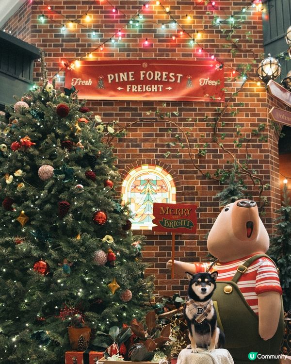 🎄聖誕打卡熱點：太古廣場聖誕夢幻啟程