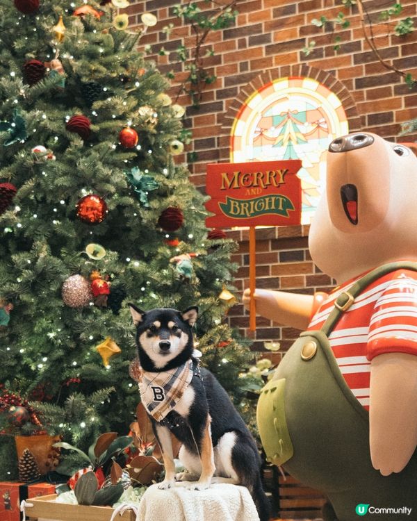 🎄聖誕打卡熱點：太古廣場聖誕夢幻啟程