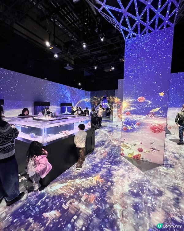 2025/11/25 11月東京遊 Day 3 🐬Maxell Aqua Park 東京品川水族館🦭