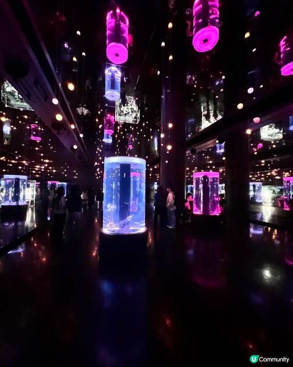 2025/11/25 11月東京遊 Day 3 🐬Maxell Aqua Park 東京品川水族館🦭