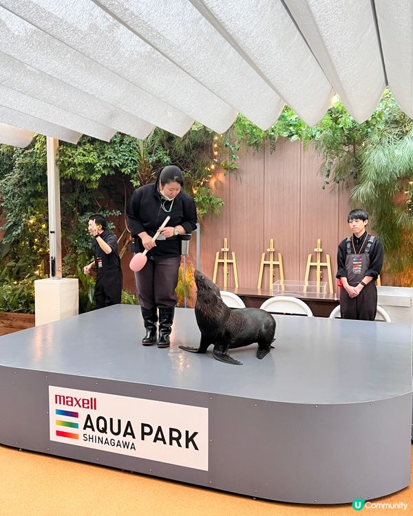 2025/11/25 11月東京遊 Day 3 🐬Maxell Aqua Park 東京品川水族館🦭