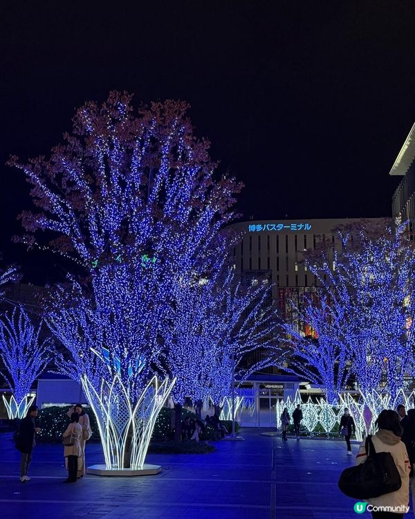 福岡燈飾2025✨光之城市等你嚟！🌃