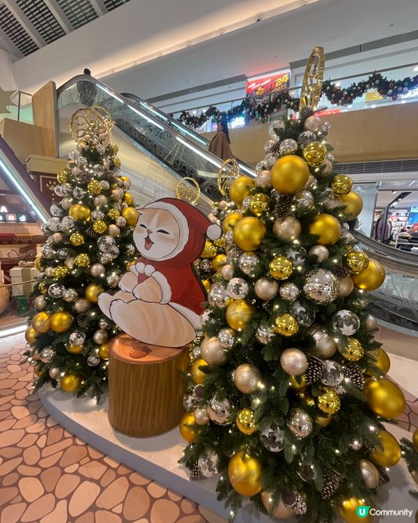 新港城貓貓聖誕探險記！😻 3米高巨貓等你嚟影相📸