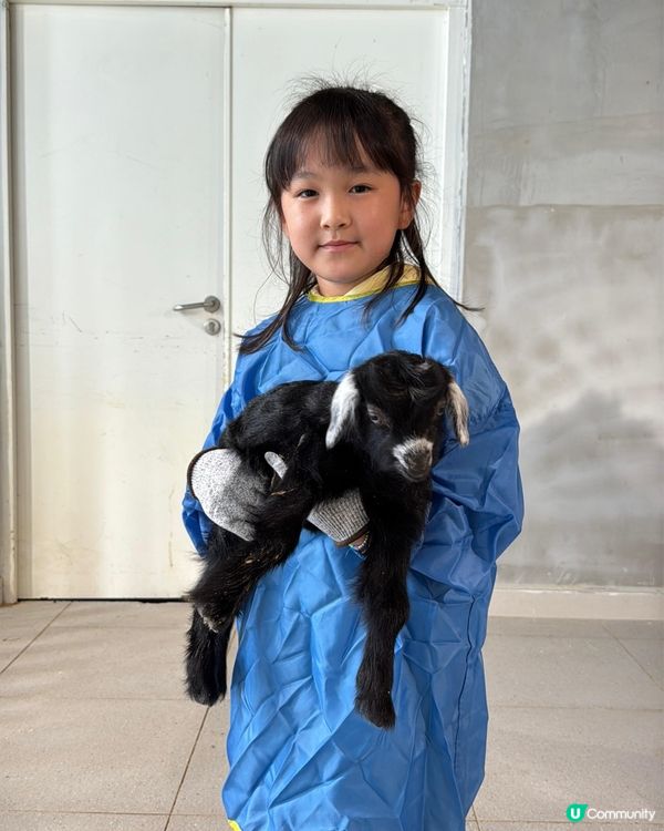 終於考完試！帶嘉嘉去深圳萌寵樂園玩🥳