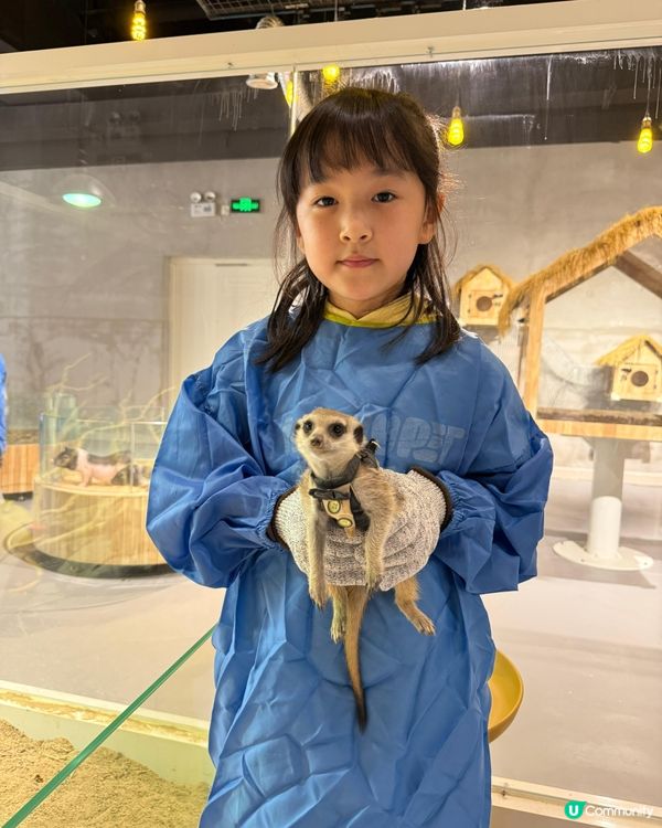 終於考完試！帶嘉嘉去深圳萌寵樂園玩🥳