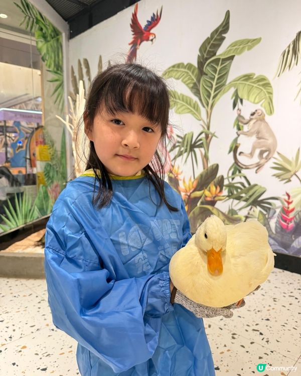 終於考完試！帶嘉嘉去深圳萌寵樂園玩🥳