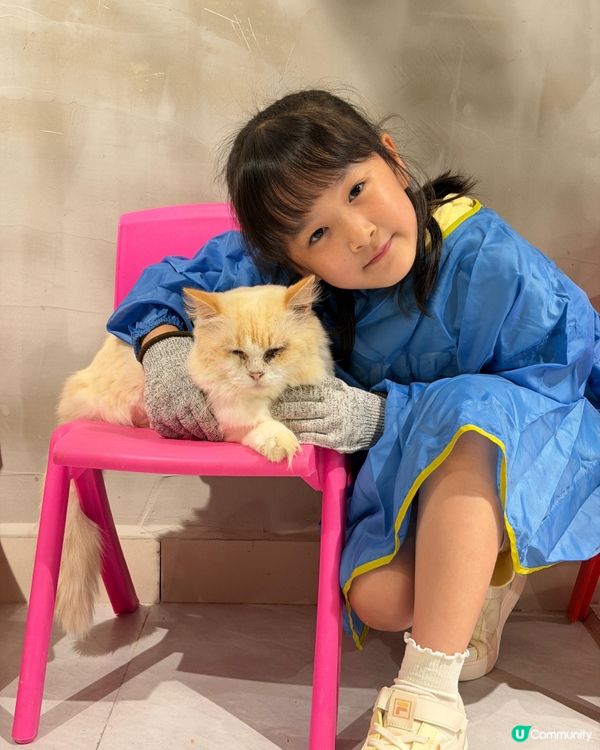 終於考完試！帶嘉嘉去深圳萌寵樂園玩🥳