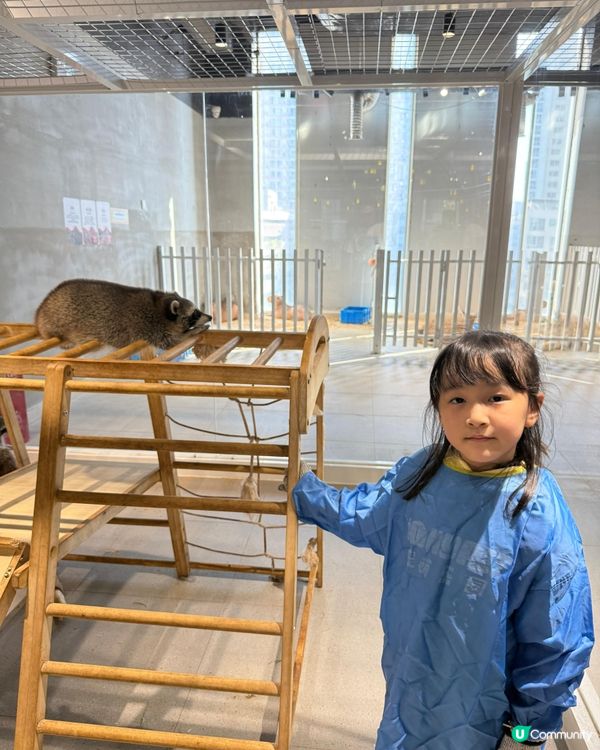 終於考完試！帶嘉嘉去深圳萌寵樂園玩🥳