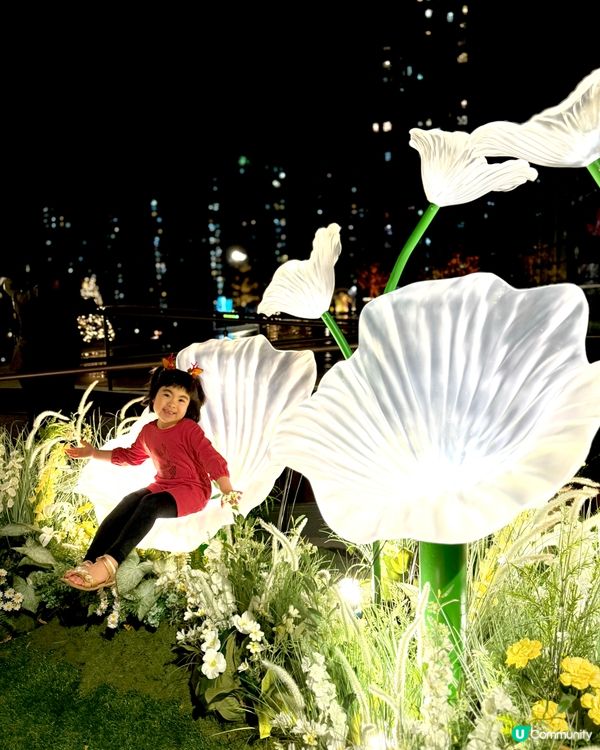 🎄沙田新城市廣場🎄滿滿的聖誕氣氛🤩