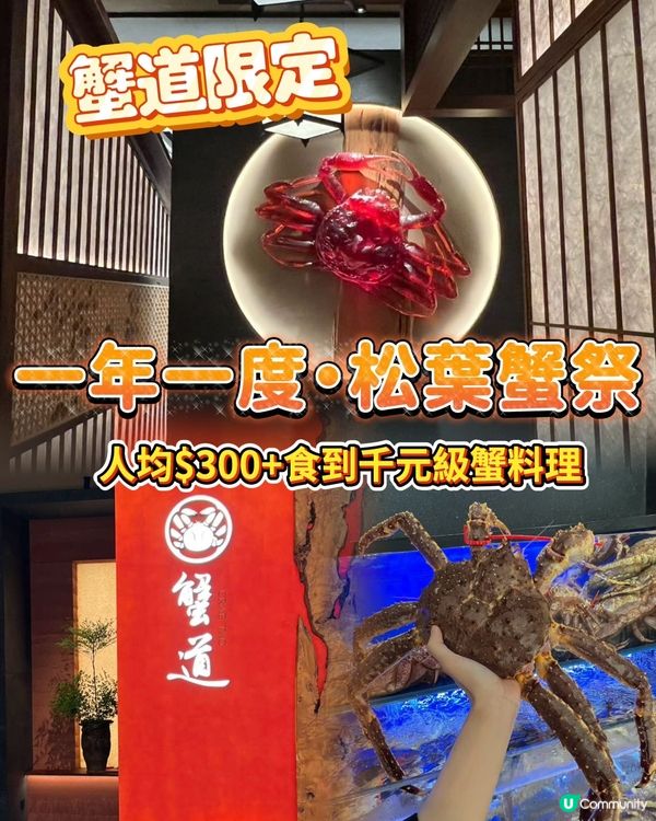 一年一度松葉蟹祭🦀！深圳蟹道鮮甜暴擊！😋