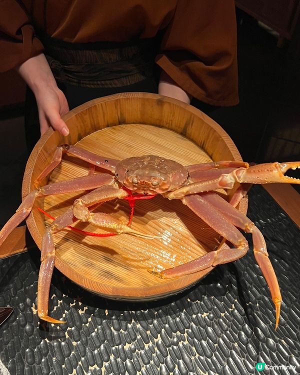 一年一度松葉蟹祭🦀！深圳蟹道鮮甜暴擊！😋