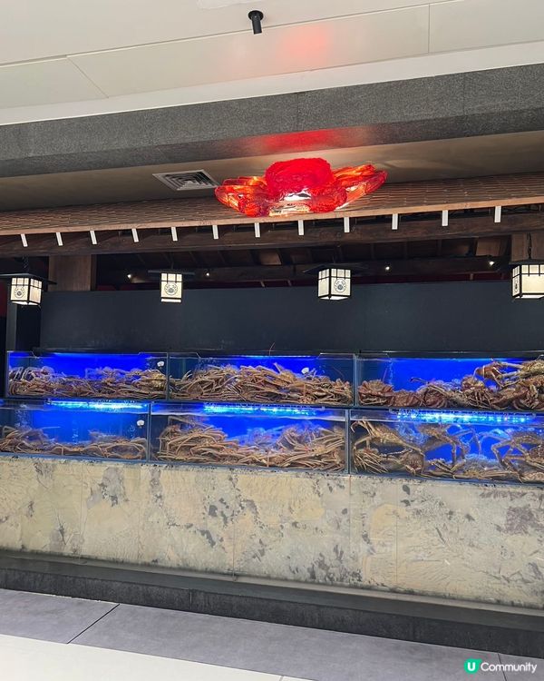 一年一度松葉蟹祭🦀！深圳蟹道鮮甜暴擊！😋