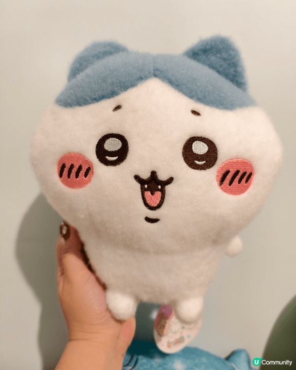 我最鍾意同兩個仔一放假就去夾公仔，我哋多數會去冒險樂園因為玩...