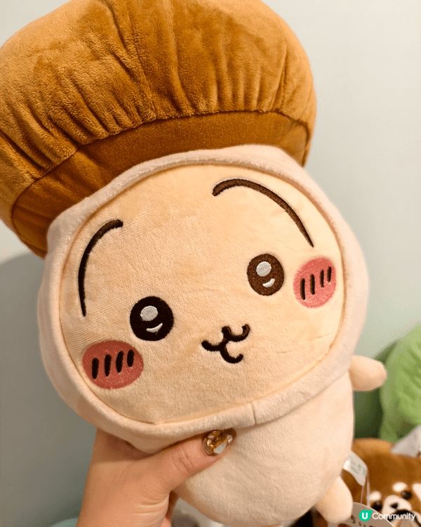 我最鍾意同兩個仔一放假就去夾公仔，我哋多數會去冒險樂園因為玩...