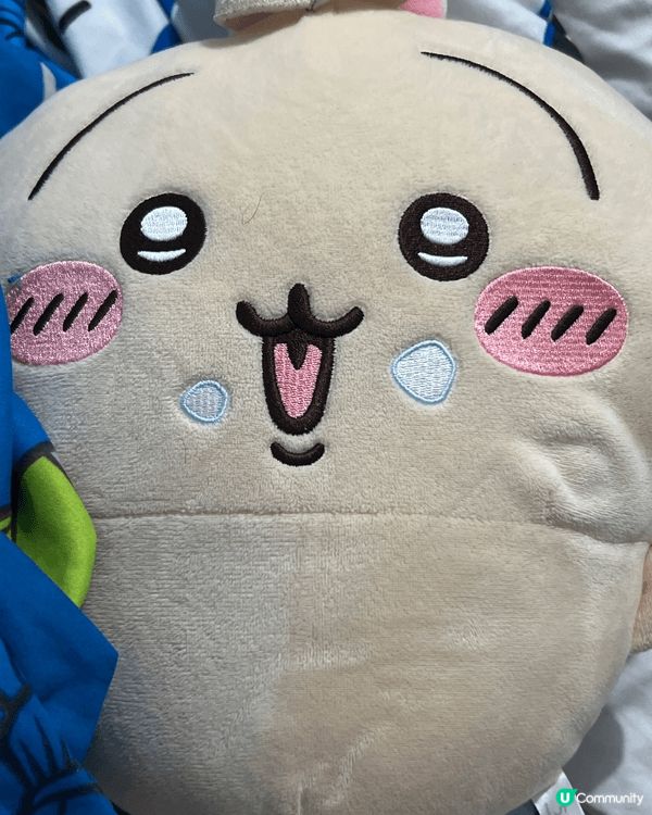 我最鍾意嘅角色就係Usagi,因為佢同我一樣都係一月出世嘅兔...
