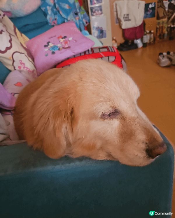 包裝很美，聖誕節送給媽咪，