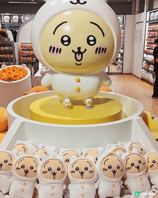 東京站既專門店，產品多，款式齊。另外，整條商店街，都有好多位...