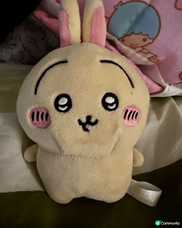 可愛嘅chiikawa係姨甥仔喜歡先嘅