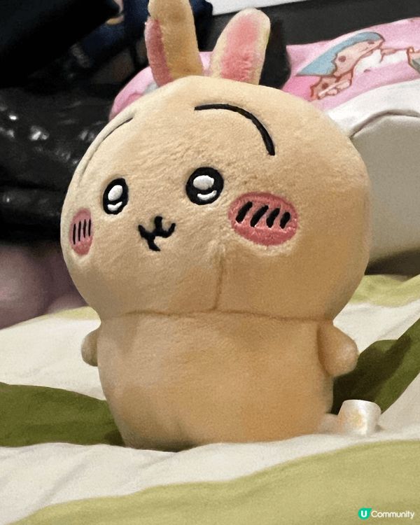 可愛嘅chiikawa係姨甥仔喜歡先嘅